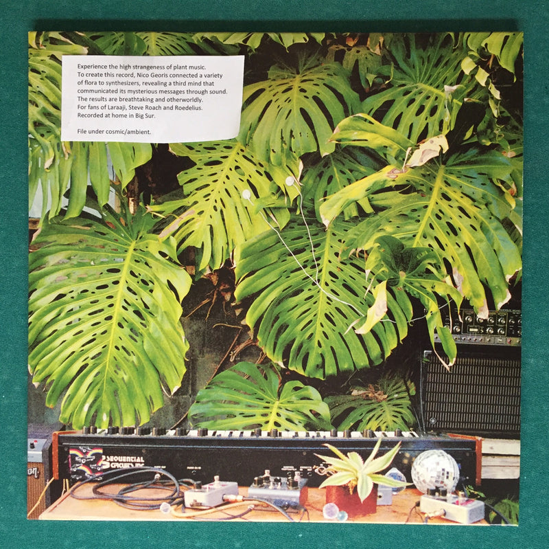 Nico Georis - Plant Music Vol 1 - Shirley Shirley Shirley! (2LP+Booklet+DL)