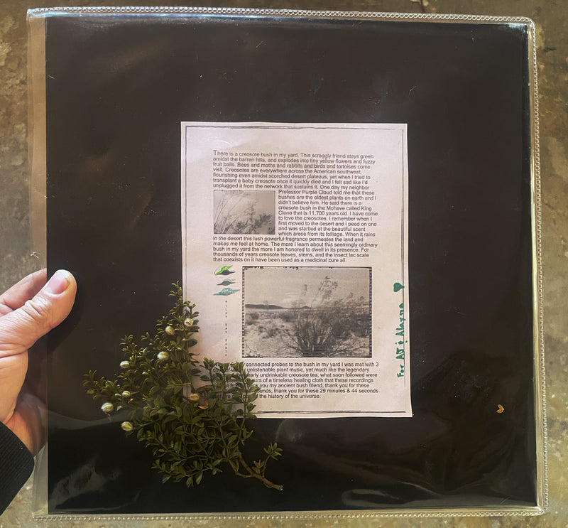 Nico Georis - Plant Music Vol 2 // Creosote (LP+DL)