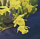 dean blunt & Elias Rønnenfelt - Lucre (LP)