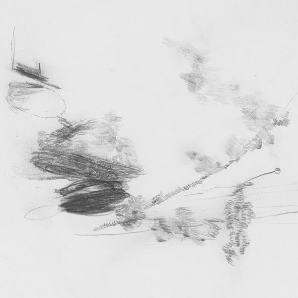 Perila - The Air Outside Feels Crazy Right Now (LP)