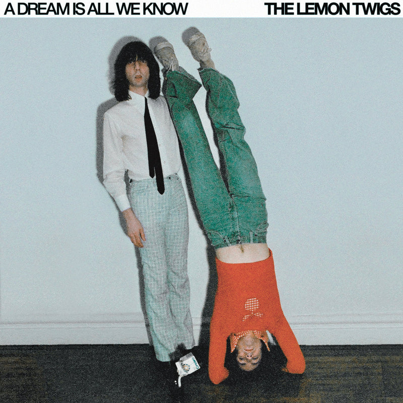 The Lemon Twigs - A Dream Is All We Know (Red u0026 White Cassette)