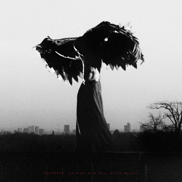 LINTD - DOGTOOTH. And Other Such Tales of The Macabre (LP)