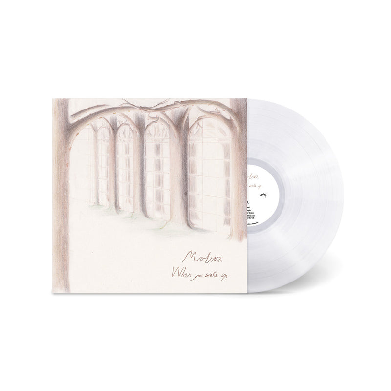 Molina - When you wake up (Clear Vinyl LP)