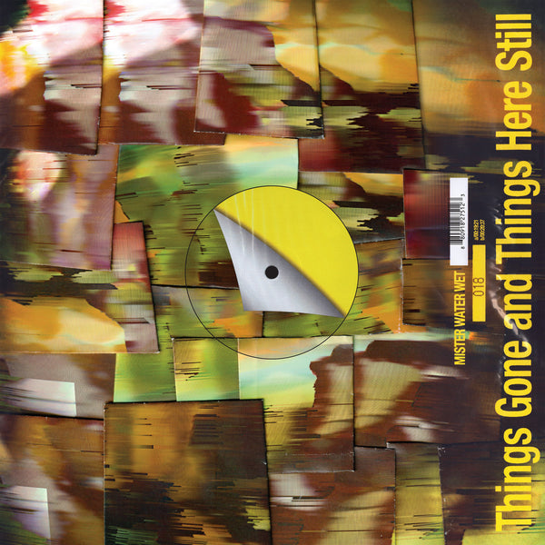 Mister Water Wet - Things Gone and Things Here Still (LP+DL)