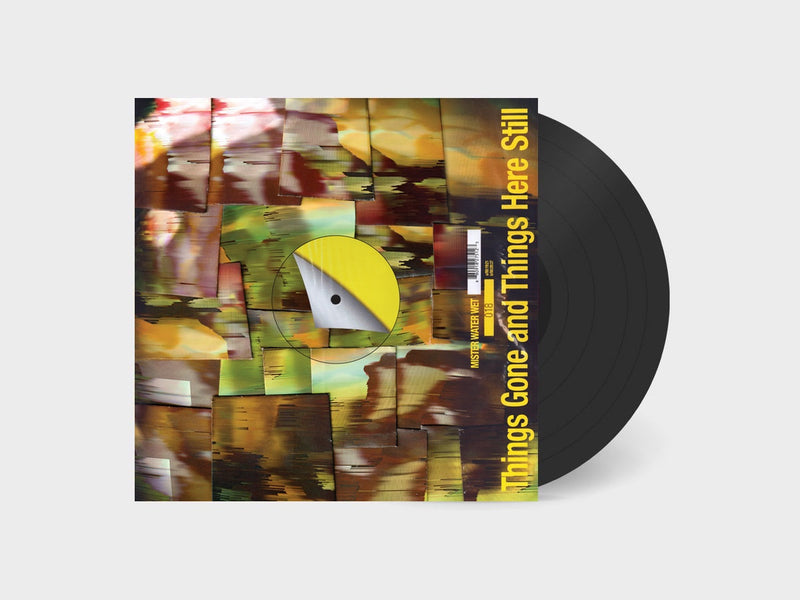 Mister Water Wet - Things Gone and Things Here Still (LP+DL)