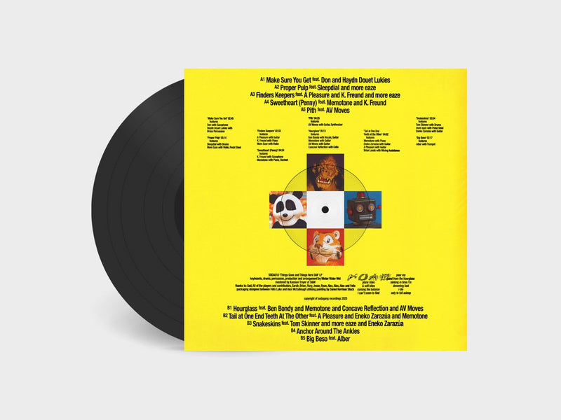 Mister Water Wet - Things Gone and Things Here Still (LP+DL)