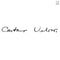 Caetano Veloso - Irene (LP)