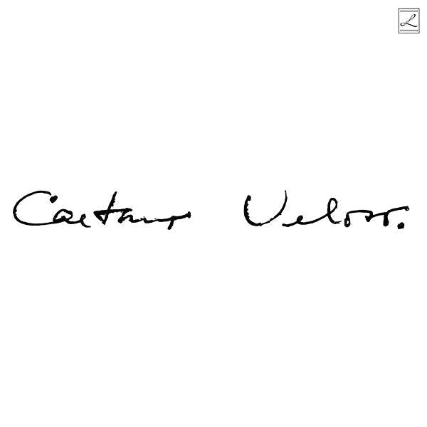 Caetano Veloso - Irene (LP)