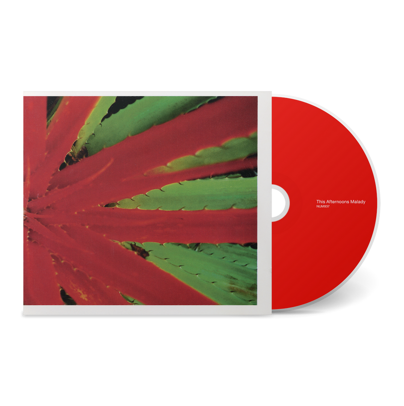 Jejune - This Afternoons Malady (CD) – Meditations