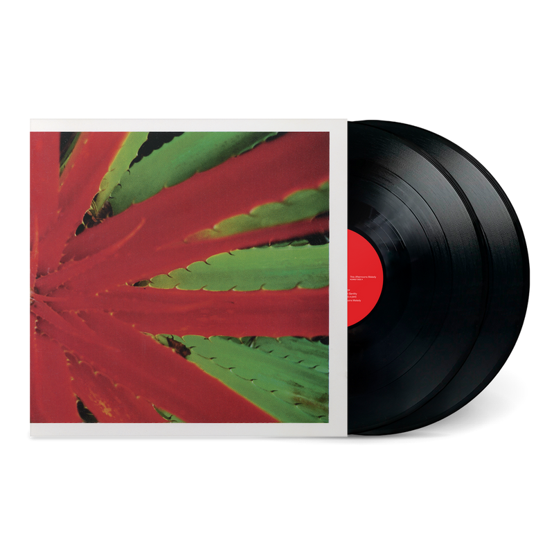 Jejune - This Afternoons Malady (2LP) – Meditations