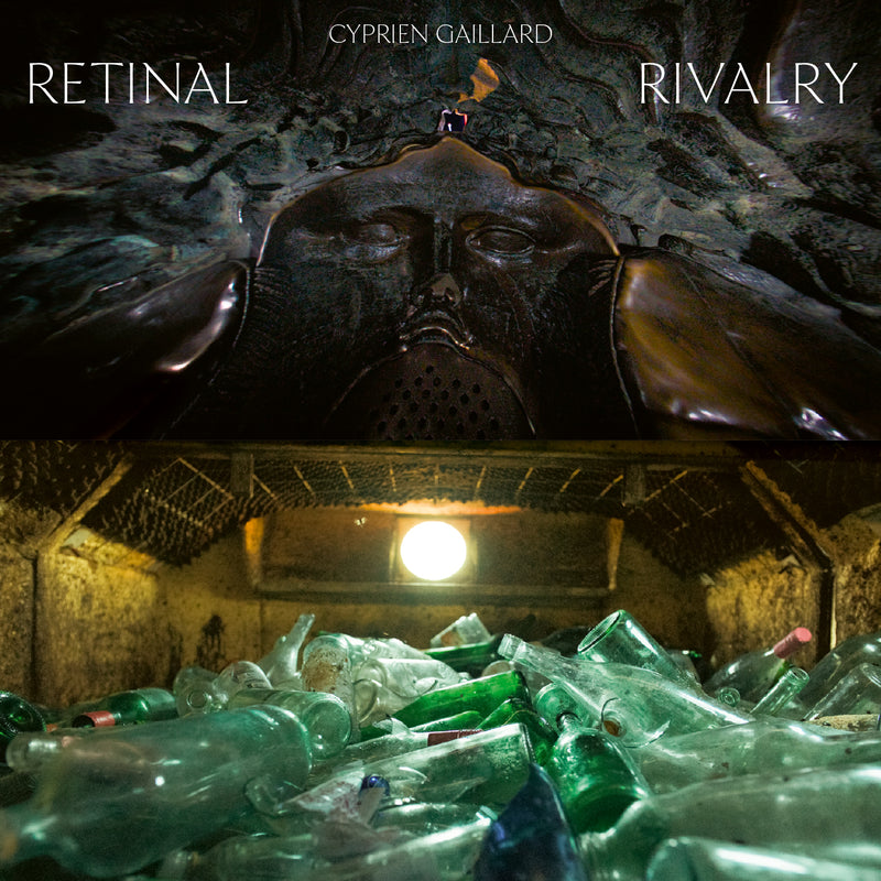 Cyprien Gaillard - Retinal Rivalry (Picture Disc LP)