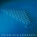 川崎燎 Ryo Kawasaki - Prism (LP)
