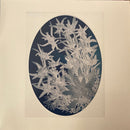 Grimm Grimm -  Untitled II (LP)