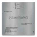 Visible Cloaks - Paradessence (Silver Vinyl LP)