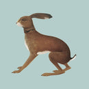 Vashti Bunyan - Lookaftering (Expanded) (2LP)