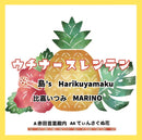 ウチナースレンテンプロジェクト - 赤田首里殿内 / てぃんさぐぬ花 (7")