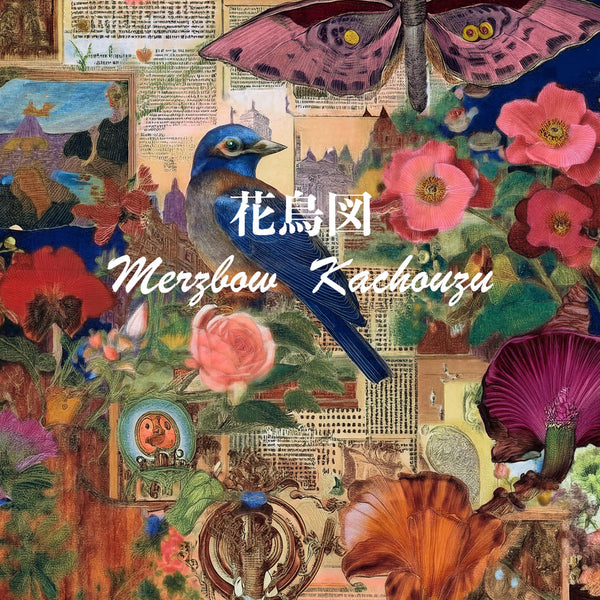 Merzbow Hole 限定　貴重　メルツバウ　レア　秋田昌美 Merzbow - Kachouzu (2x6″ Lathe Cut White Vinyl) – Meditations