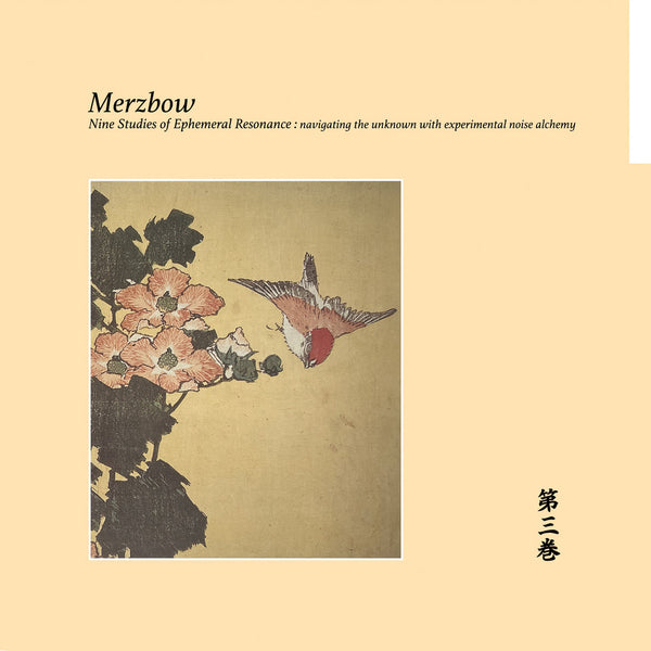 Merzbow - Nine Studies of Ephemeral Resonance Volume 3 (Wooden Box Set CD)