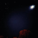 Andrea - Living Room (2X12")