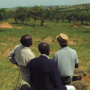 Katokye -  Obuhangwa bwa Banyankore na Bahororo (LP)