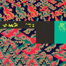 Natural Information Society with Evan Parker - descension (Out of Our Constrictions) (2LP)