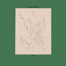 Vincent Yuen Ruiz - Trio (LP)