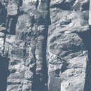 Driftwood -  Maps (CD)