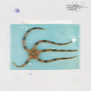 Guy Contact & Solar Suite -  Perfect Harmony EP (12")