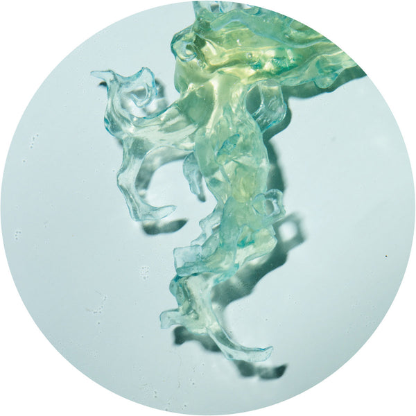 Altone -  Invincible Nature EP (12")