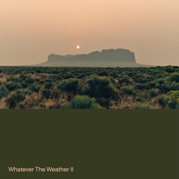 Whatever the Weather - Whatever the Weather II (Dark Green Vinyl LP)