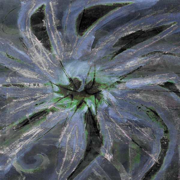 Mu Tate, Nexcyia, Exzald S - Labège (LP)