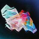 Bitchin Bajas -  Inland See (LP)