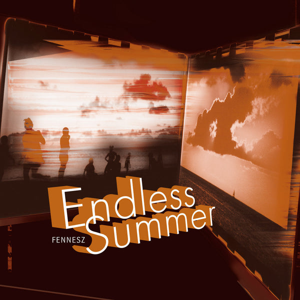 FENNESZ 『ENDLESS SUMMER』　2LP　MEGO 135V a1243111776_10_8808ff37-56dd-