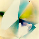 DJ ojo -  Total internal reflection (2LP)