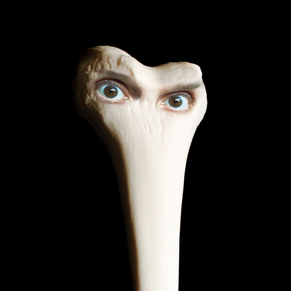 Juana Halo Molina RECORDS SET Ratings 新品 JUANA MOLINA / HALO