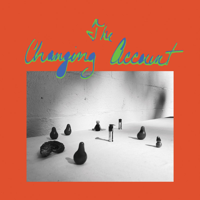 G.S. Schray - The Changing Account (LP)