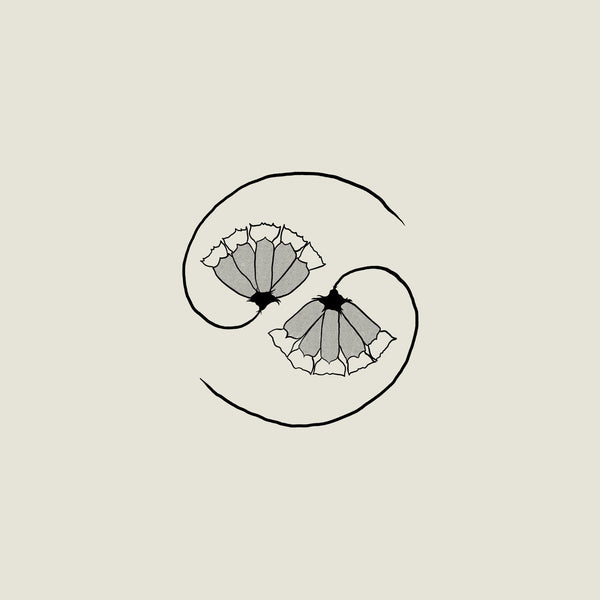 Godspeed You! Black Emperor - G_d's Pee AT STATE'S END! (LP+10