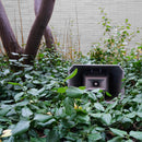 Jasmine Guffond - Muzak for the Encouragement of Unproductivity (LP)