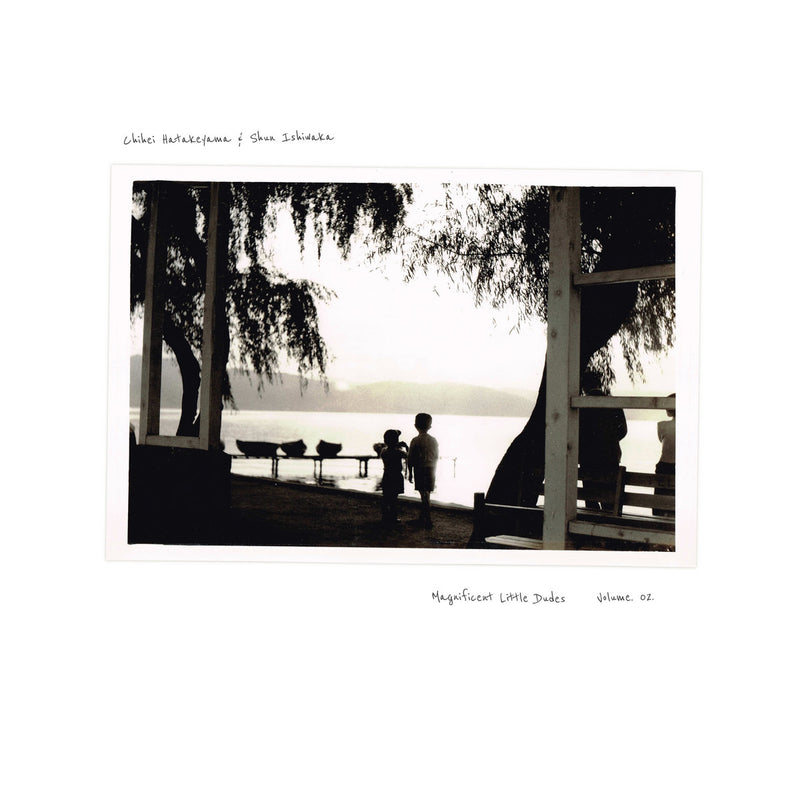 Chihei Hatakeyama & Shun Ishiwaka - Magnificent Little Dudes Vol.2 (2LP)