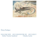 Eliane Radigue - Occam XIII, Occam River XI, Occam V (2LP)