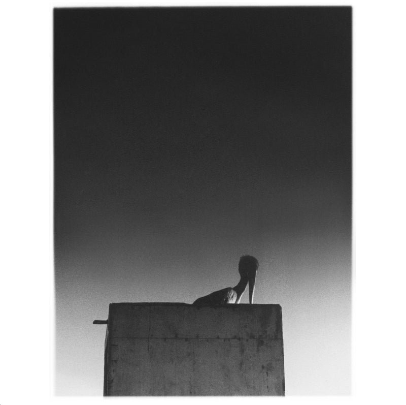 Ø -  Sysivalo (2LP+CD)