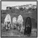 Holy Tongue - Basilikum (LP)