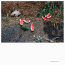 Andrea Borghi - Palsecam (LP)