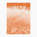 Brad E. Rose - The Sound Leaves (CD)