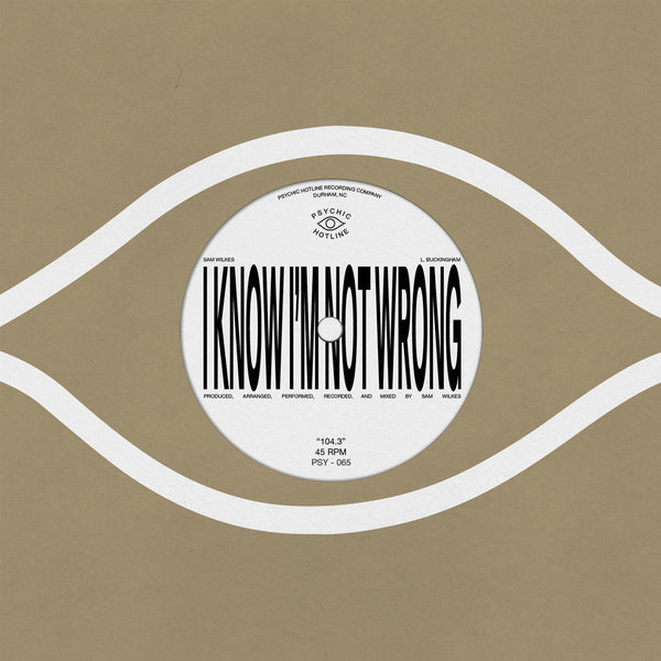 Sam Wilkes - 104.3 (7")