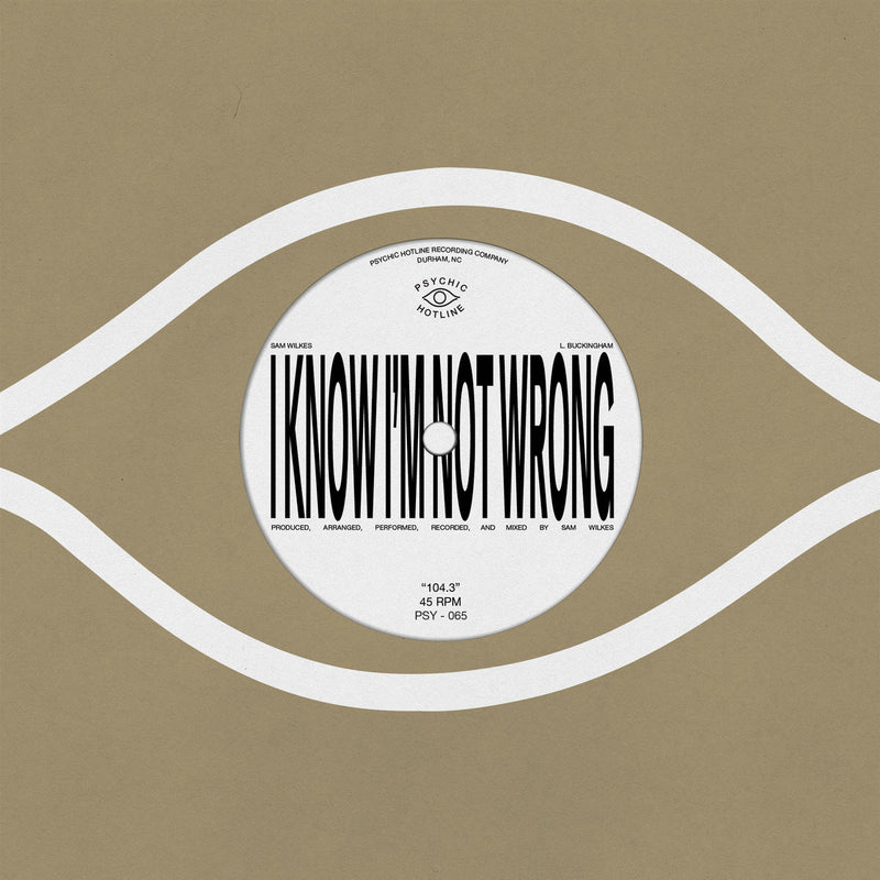 Sam Wilkes - 104.3 (7")