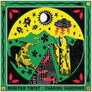 Nubiyan Twist - Chasing Shadows (LP)