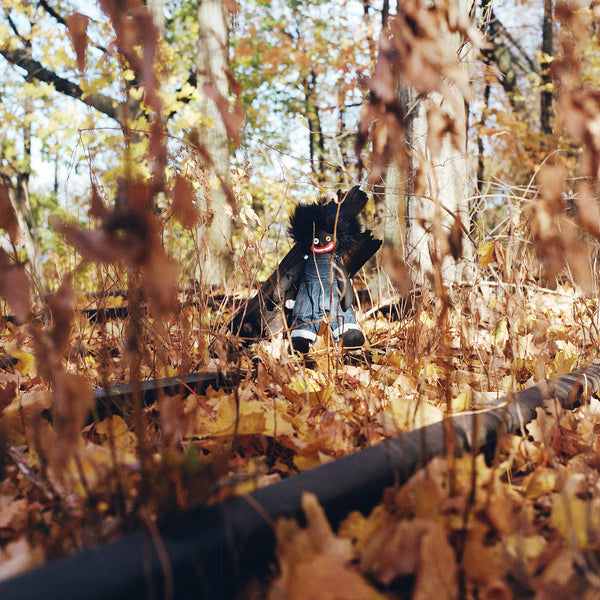 billy woods - GOLLIWOG (2LP) – Meditations