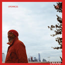 Laraaji - Openness (2LP)