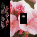 Ottomani Parker - Live At Cafe Oto (CS)